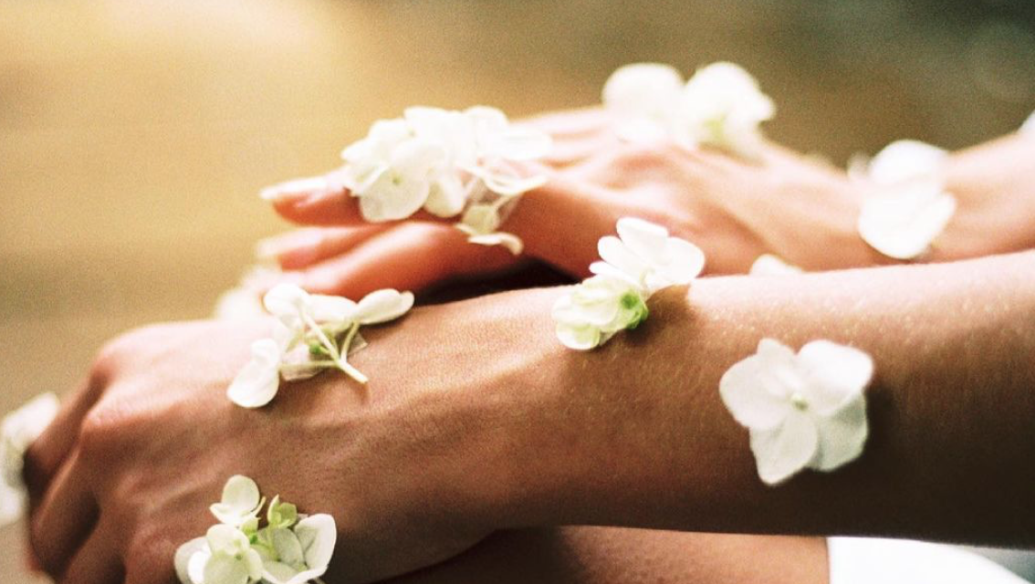 ¡Bienvenidos a nuestro blog!